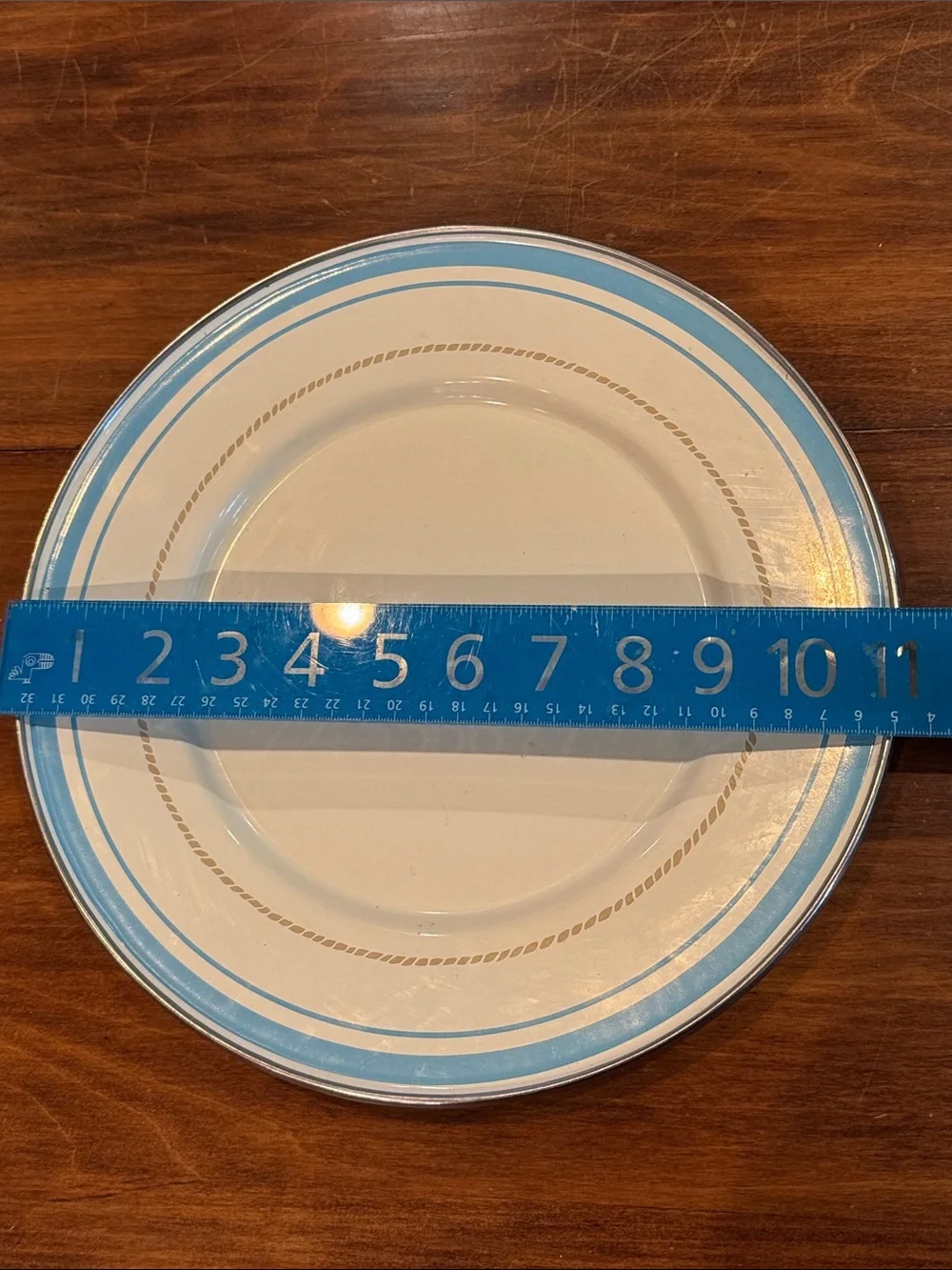 NWOT Target American Picnic Enamel Plate 11”White With Blue Trim Rope Metal NEW!